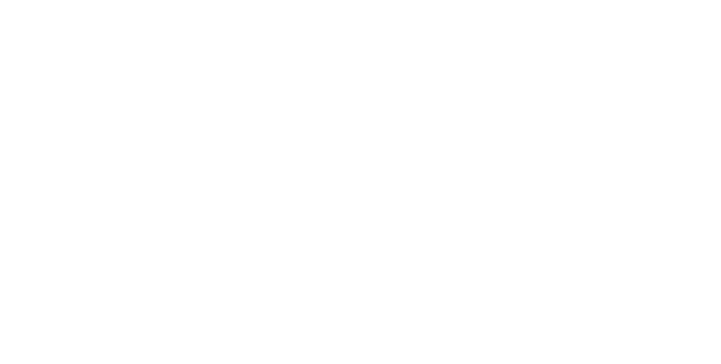 Viscri logo-01_white